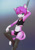 Size: 600x848 | Tagged: artist:nobusuke, oc:kigenta, cat, felid, feline, anthro, boy, cub, male, slender, solo boy, solo cub, solo male, twink, young, colored, digital, fully shaded, suggestive, anus, balls, bed, bowtie, bulge, butt, clothing, dancing, foreskin, fur, green eyes, hair, humanoid penis, intact penis, kemono, kemoshota, looking at you, navel, penis, pink fur, pink hair, pole dancing, presenting, solo, stockings, thong, underwear, white fur
