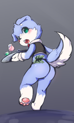 Size: 997x1653 | Tagged: artist:nobusuke, oc, oc:mint (mintea), canid, dog, mammal, anthro, boy, cub, male, young, safe, alcohol, beverage, blue fur, blushing, bowtie, butt, clothing, food, fur, kemono, kemoshota, looking at you, looking back, money, open mouth, panties, pawpads, rear view, solo, stripper, teal eyes, underwear, vest, white fur